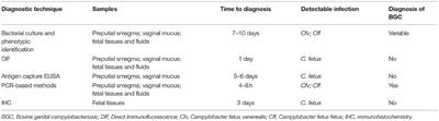 Diagnosis of Bovine Genital Campylobacteriosis in South America